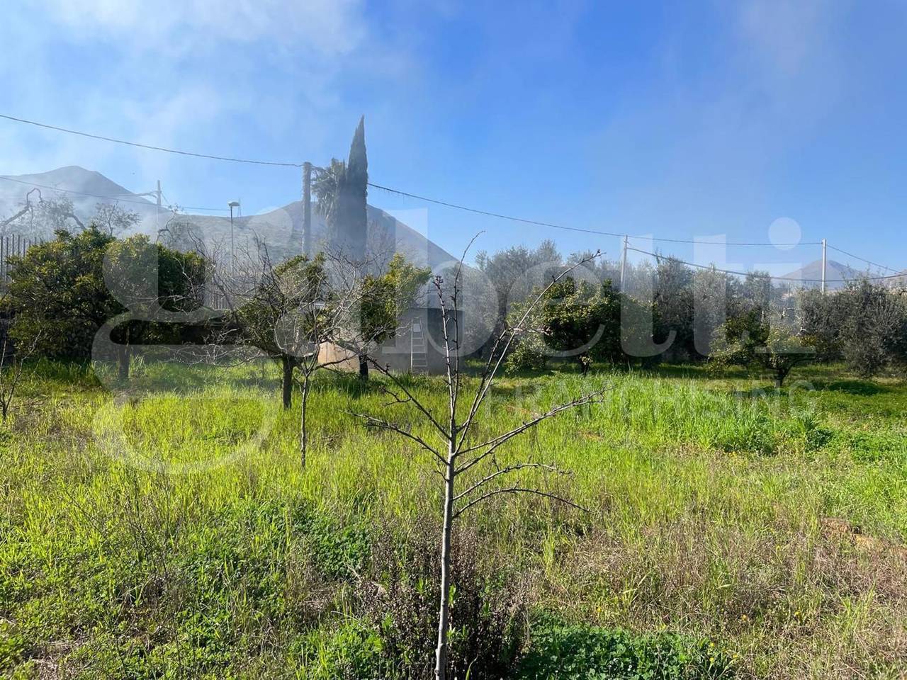 immagine annuncio 8 di 13