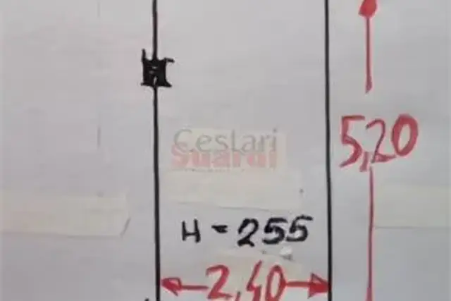 insertion image