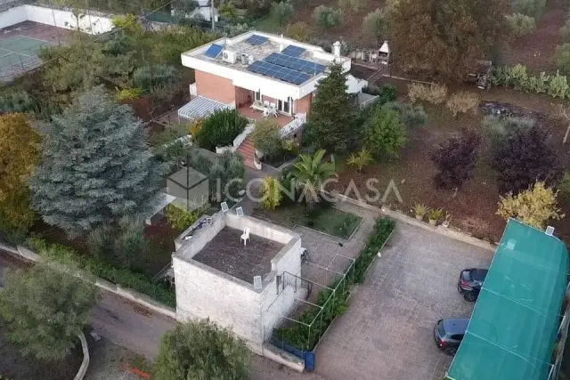 insertion image