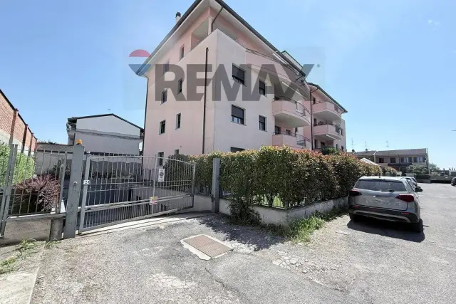 insertion image