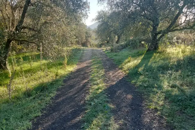 Terreno agricolo in Via Belvedere, Faleria - Foto 1