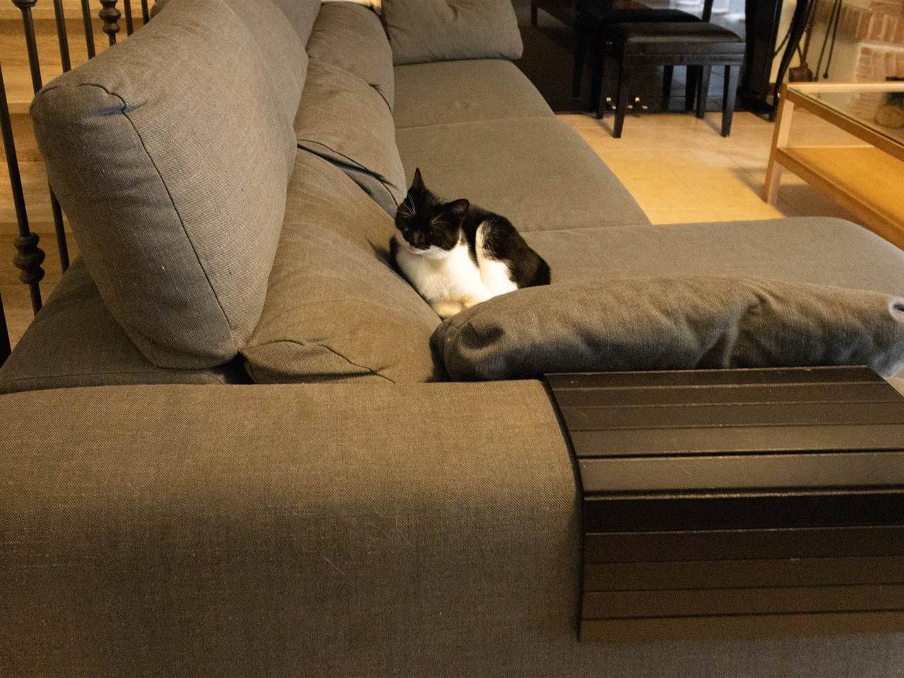 immagine annuncio 8 di 15