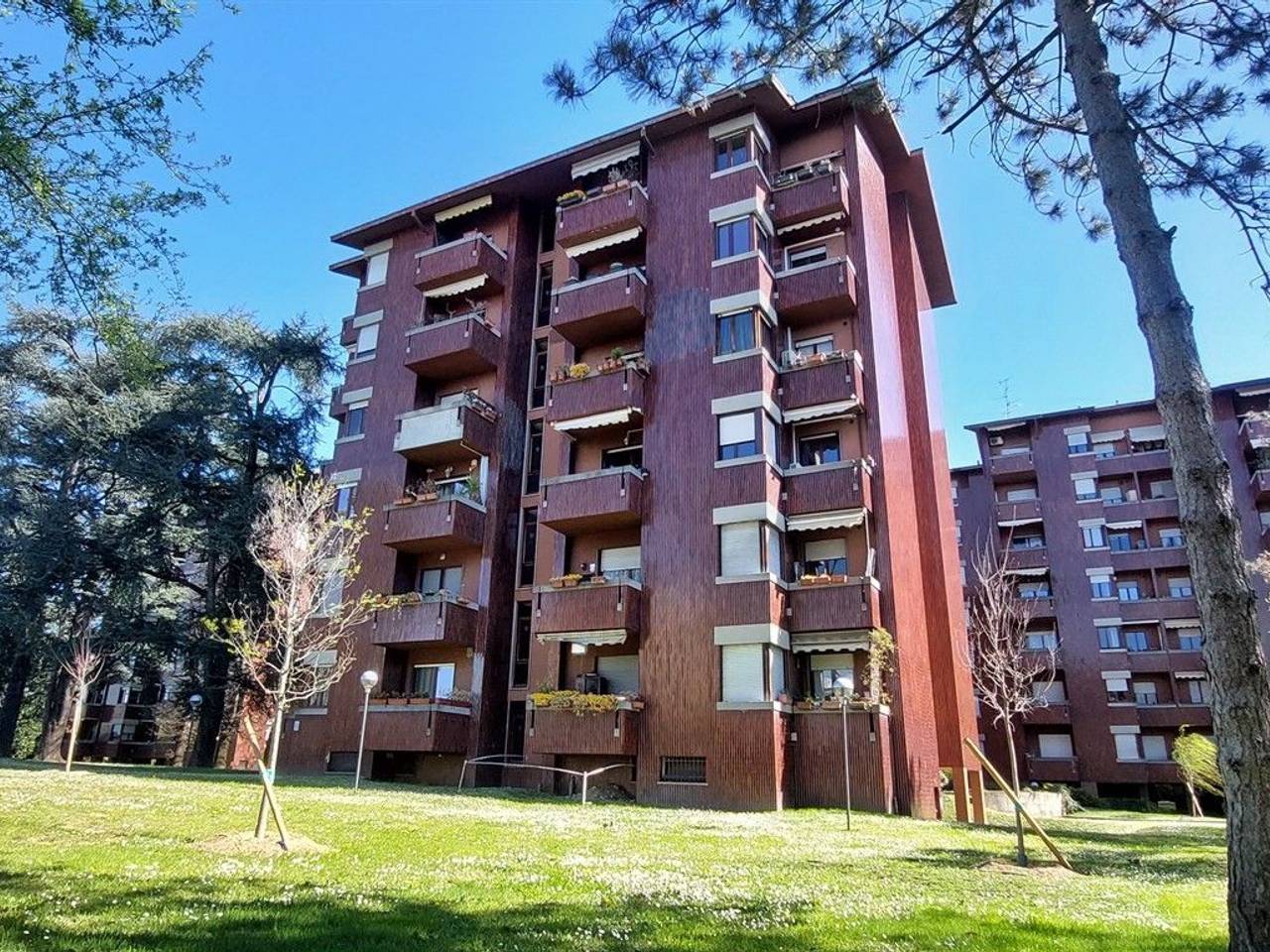 immagine annuncio 3 di 15