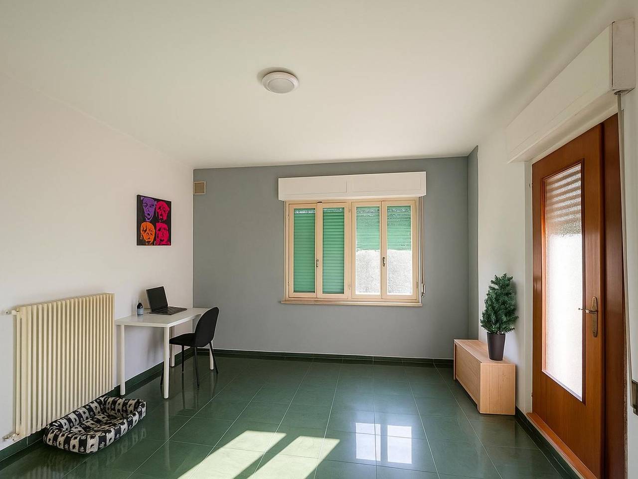 immagine annuncio 3 di 8