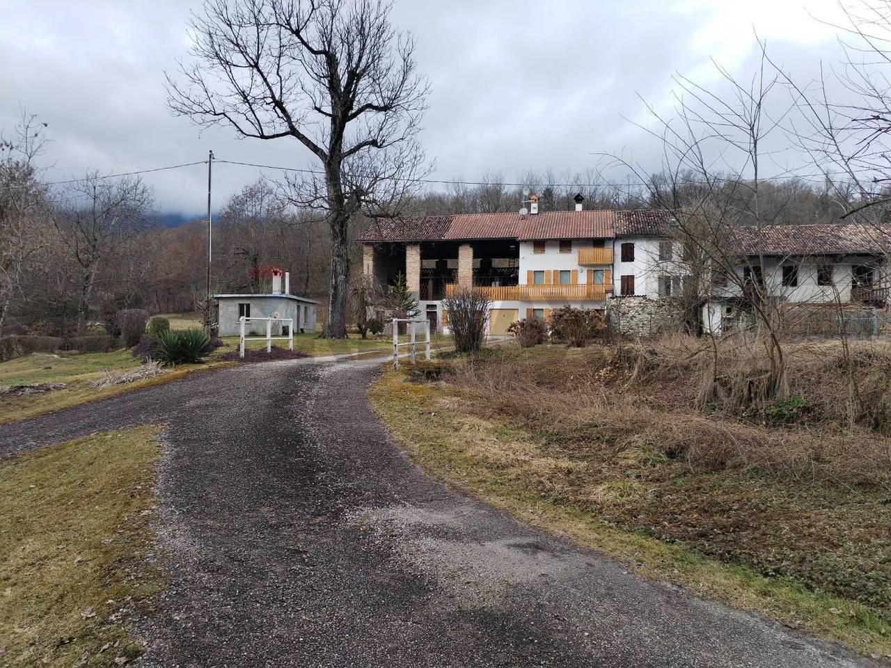 immagine annuncio 12 di 15