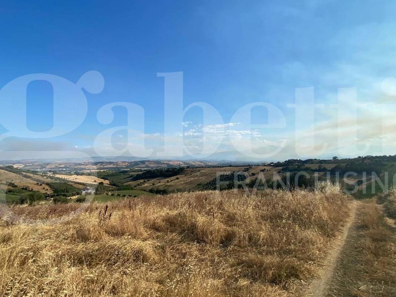 immagine annuncio 3 di 11