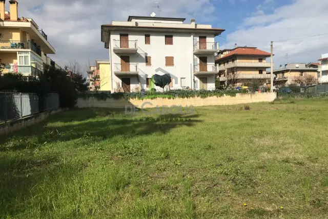 insertion image