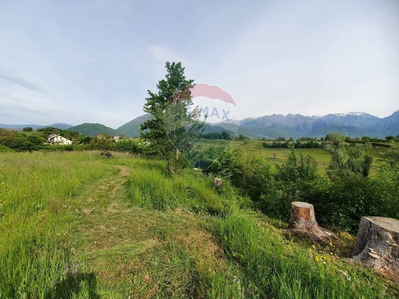 immagine annuncio 1 di 6