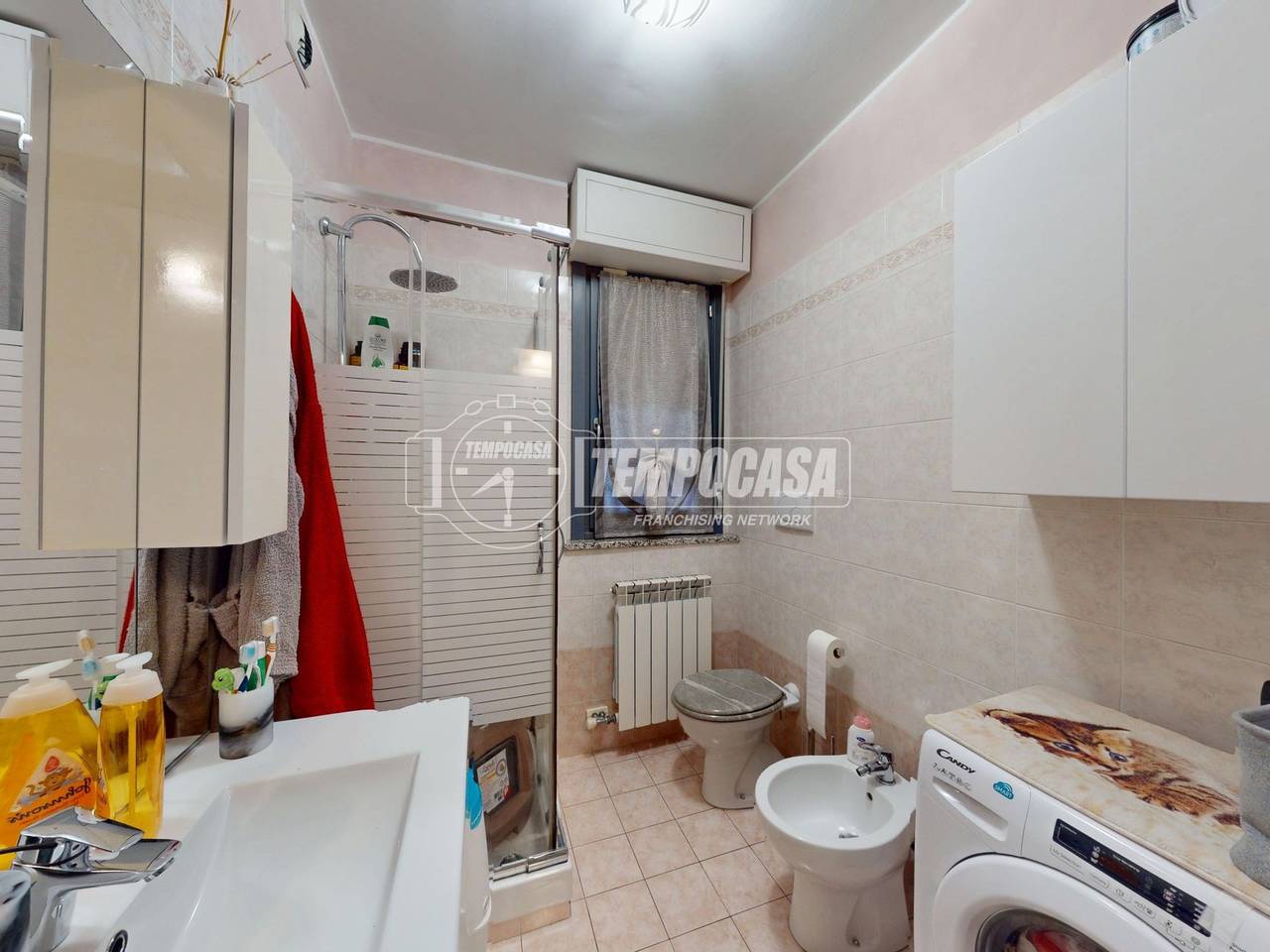 immagine annuncio 11 di 14