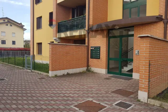 insertion image
