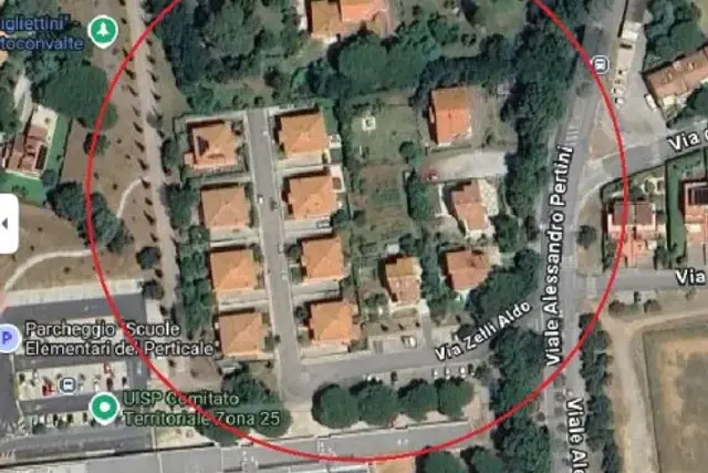 insertion image