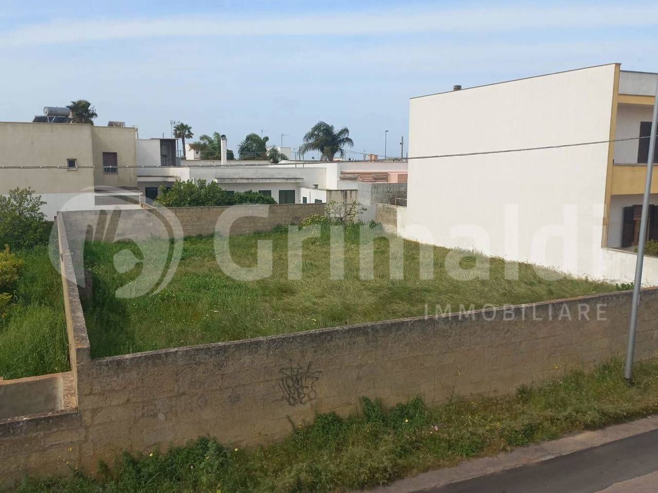 immagine annuncio 8 di 12