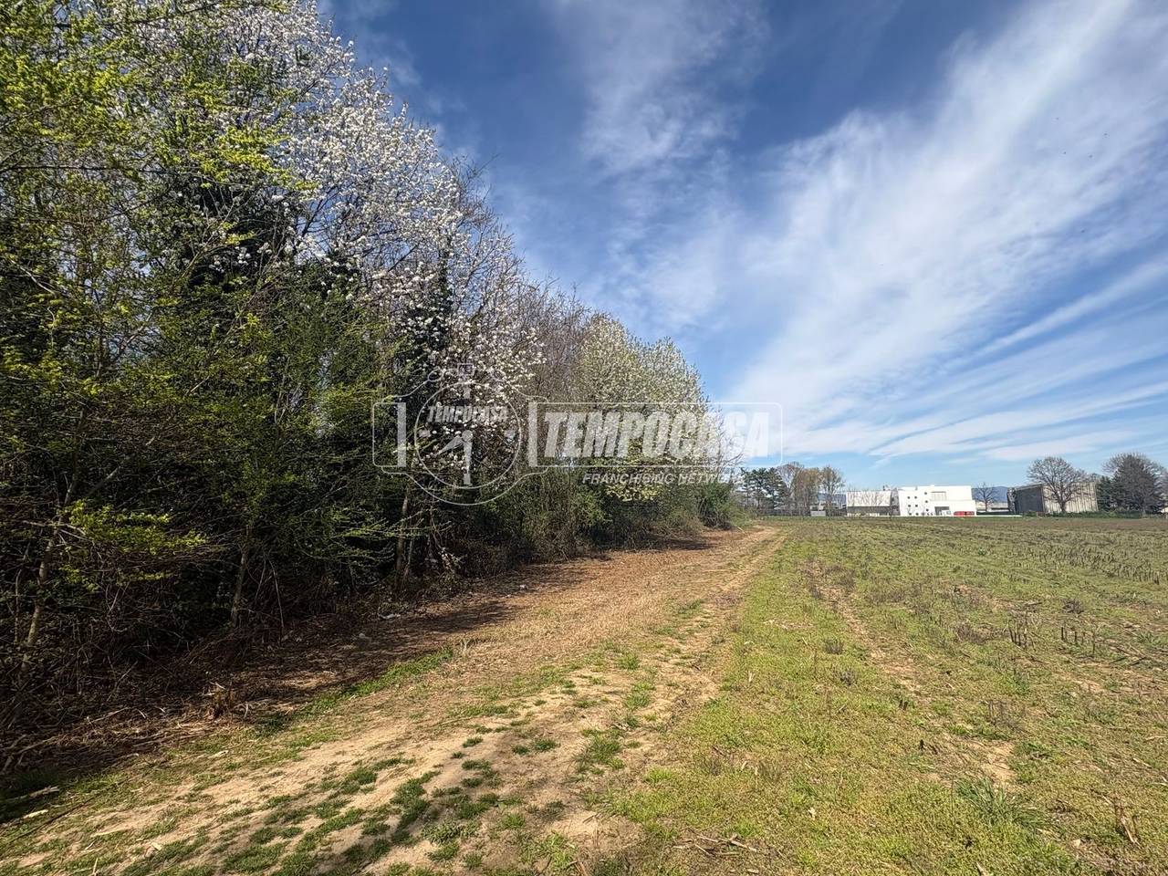 immagine annuncio 3 di 7