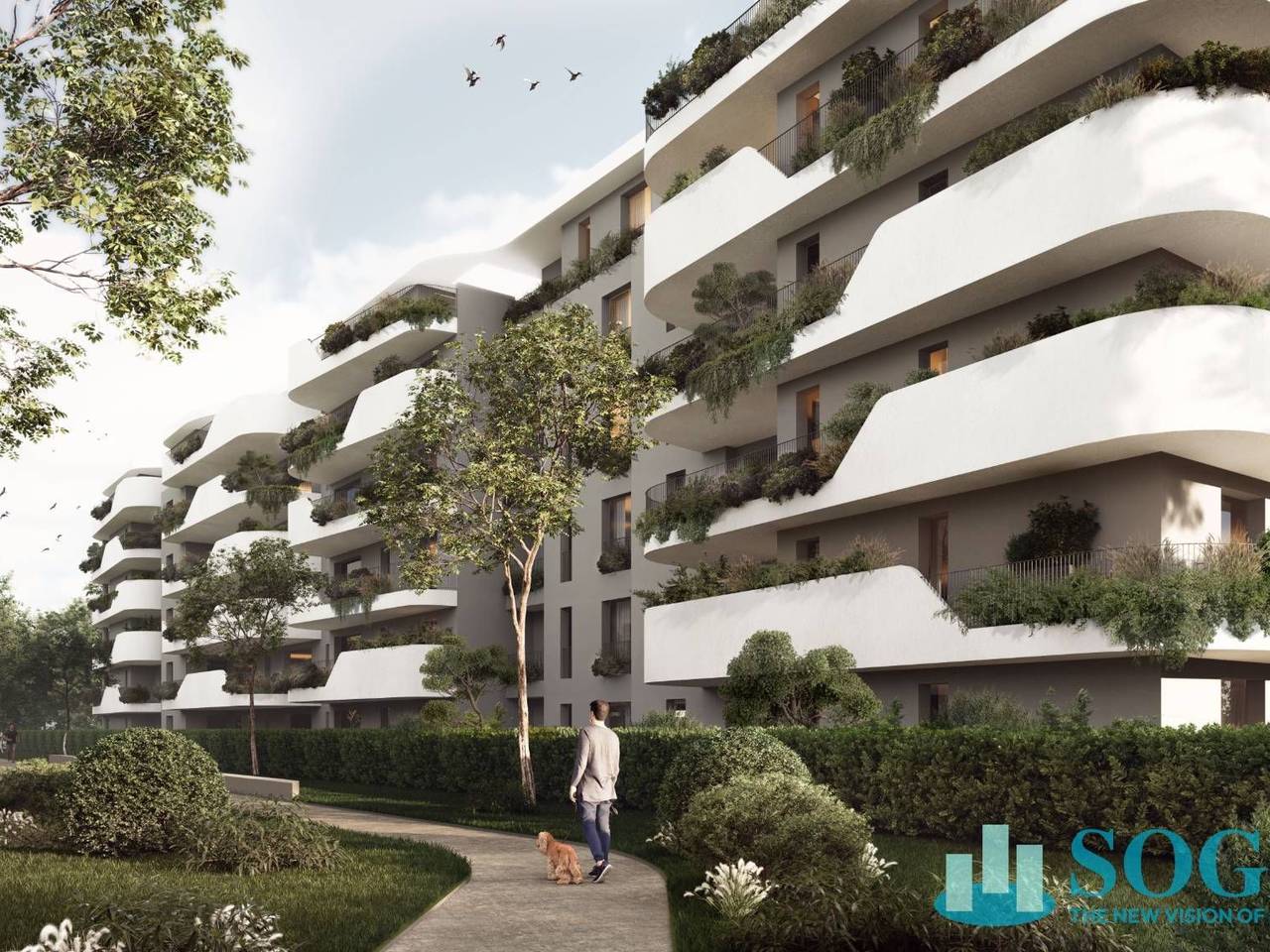 immagine annuncio 2 di 6