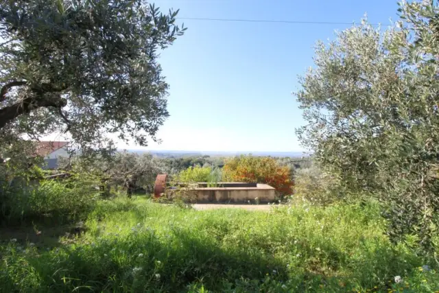 Terreno agricolo in Via Colle Lungo 20, Montelibretti - Foto 1