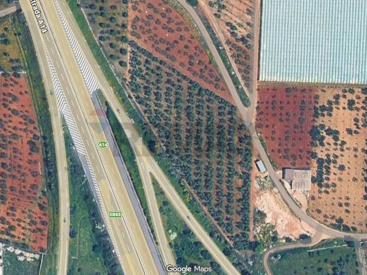 immagine annuncio 1 di 8