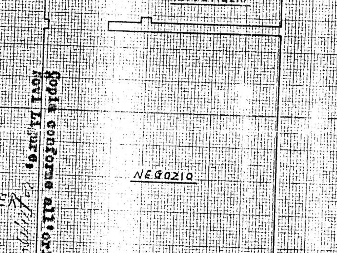 Negozio in Via Papa Giovanni XXIII 13, Novi Ligure, {3} - Planimetria 1