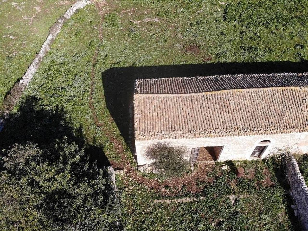 immagine annuncio 2 di 12