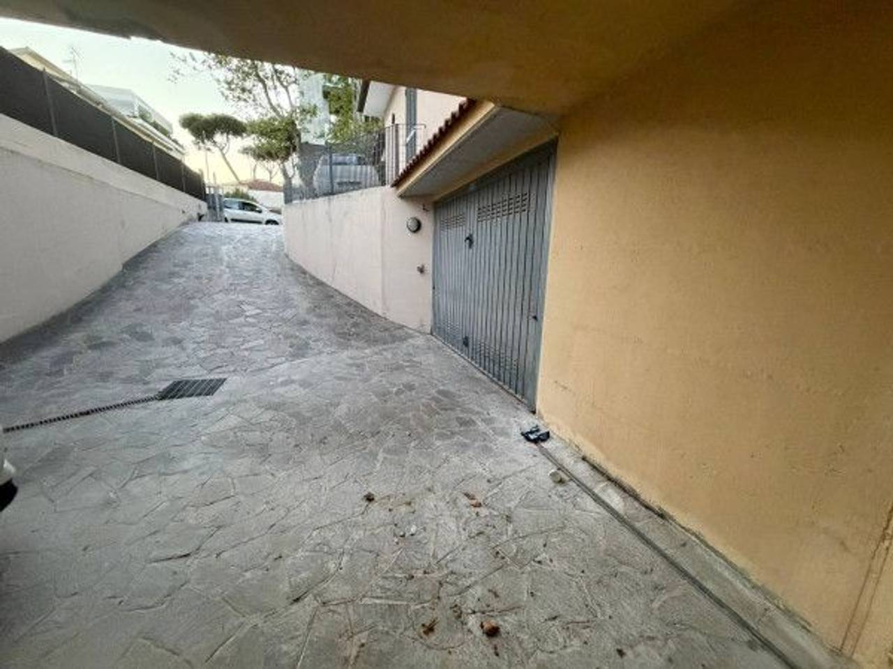 immagine annuncio 10 di 12