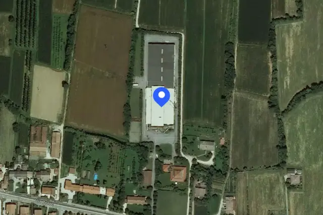 insertion image