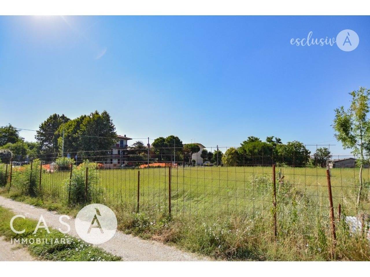 immagine annuncio 2 di 6