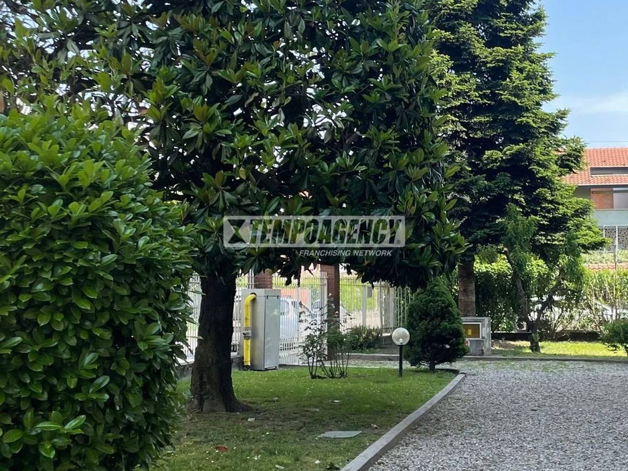 immagine annuncio 10 di 12