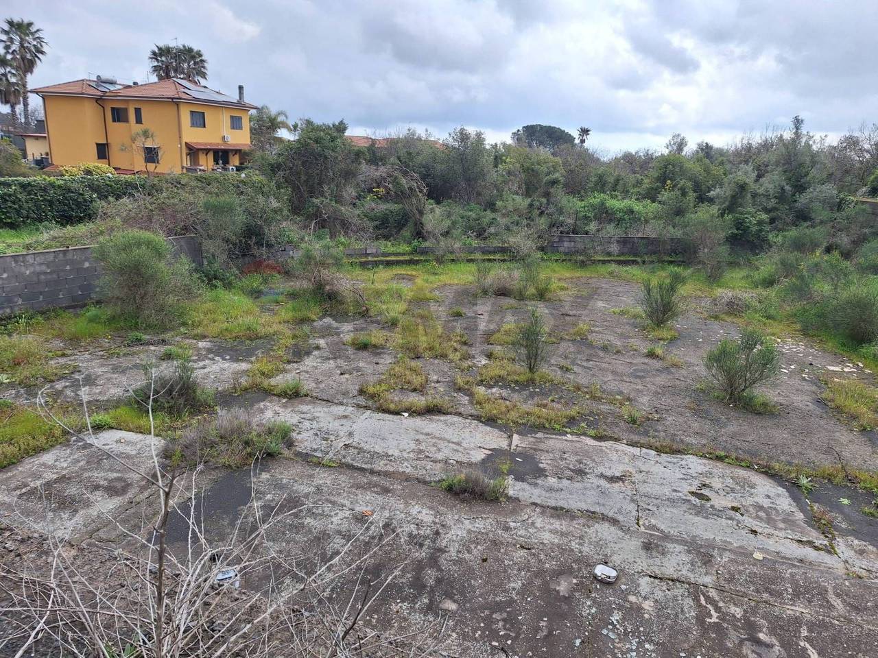 immagine annuncio 6 di 9