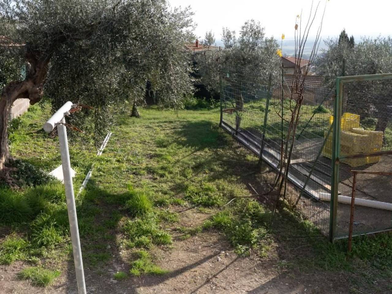 immagine annuncio 5 di 7