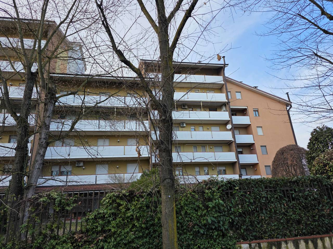 immagine annuncio 2 di 15