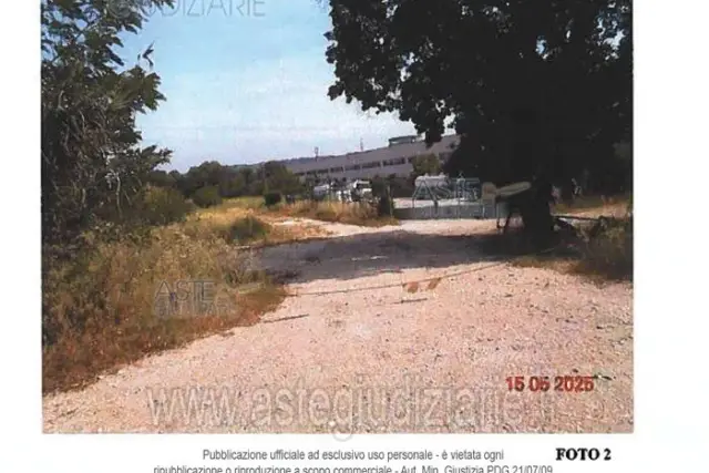 insertion image