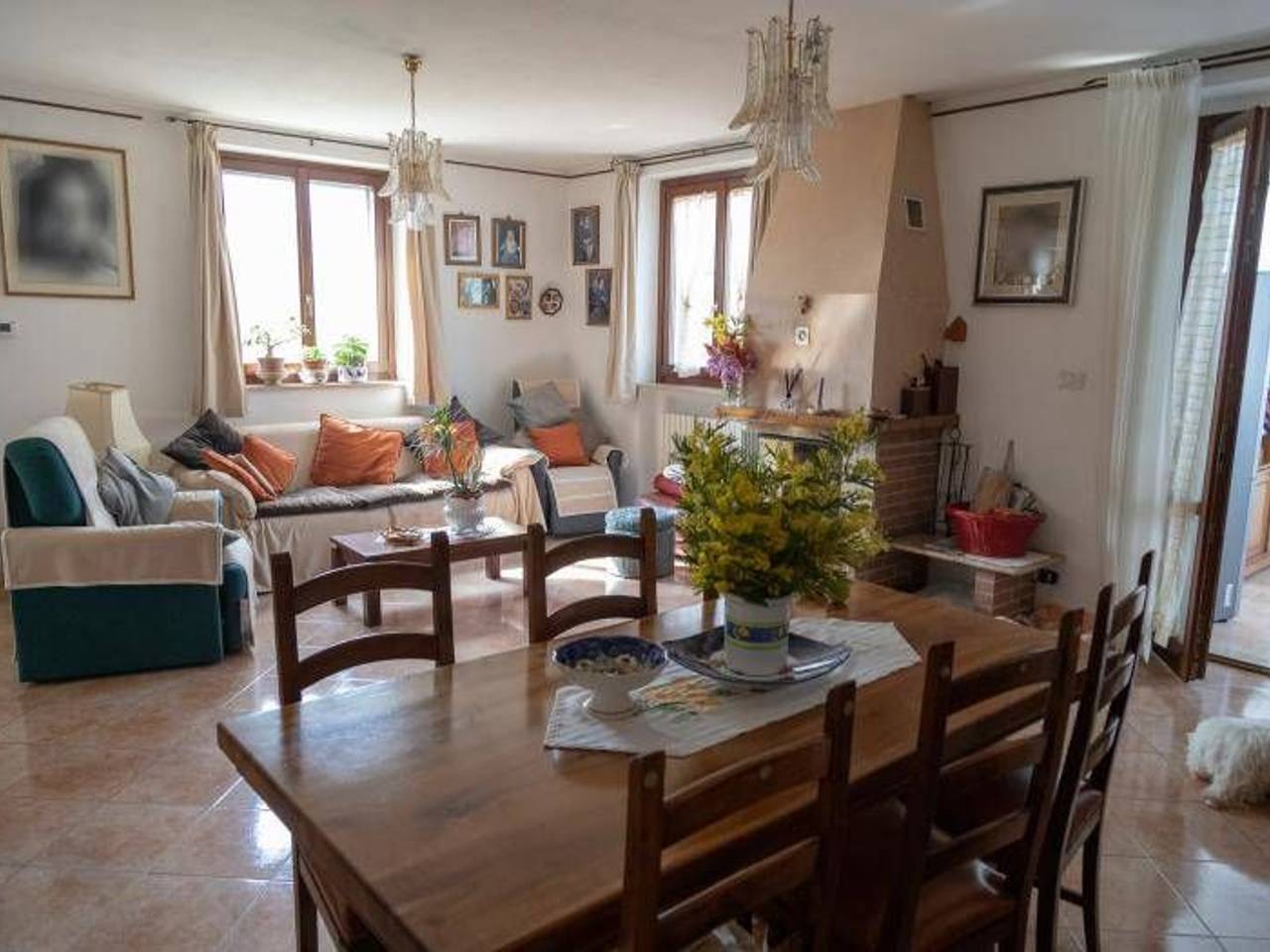 immagine annuncio 2 di 11