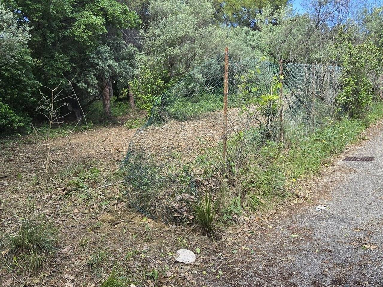 immagine annuncio 3 di 14