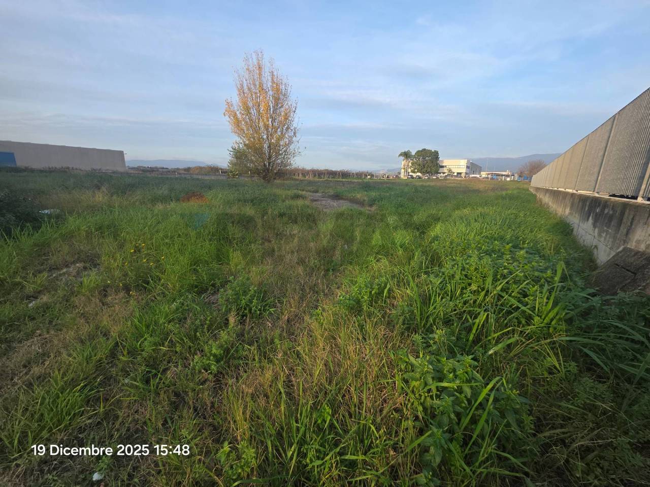 immagine annuncio 6 di 7