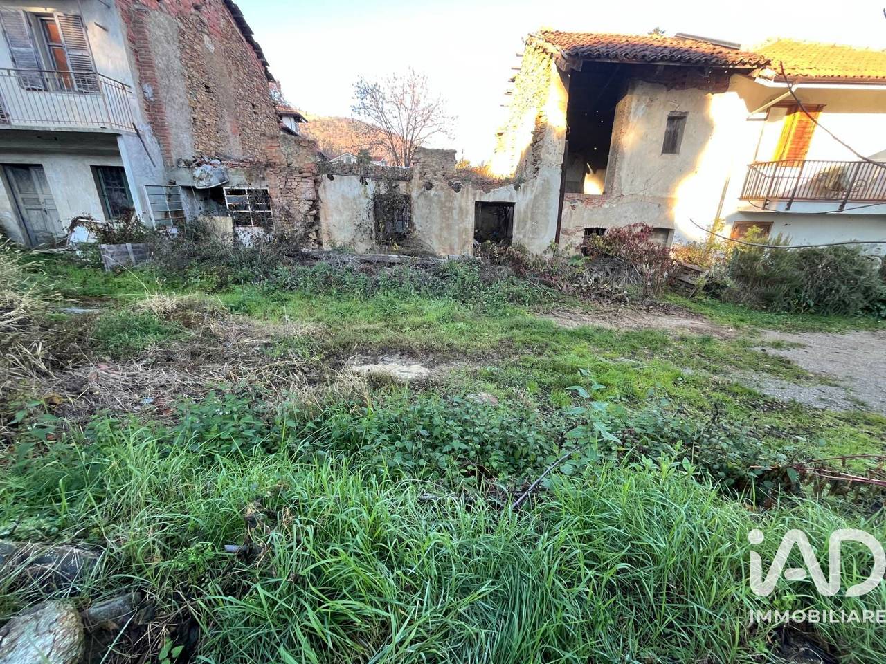 immagine annuncio 4 di 6