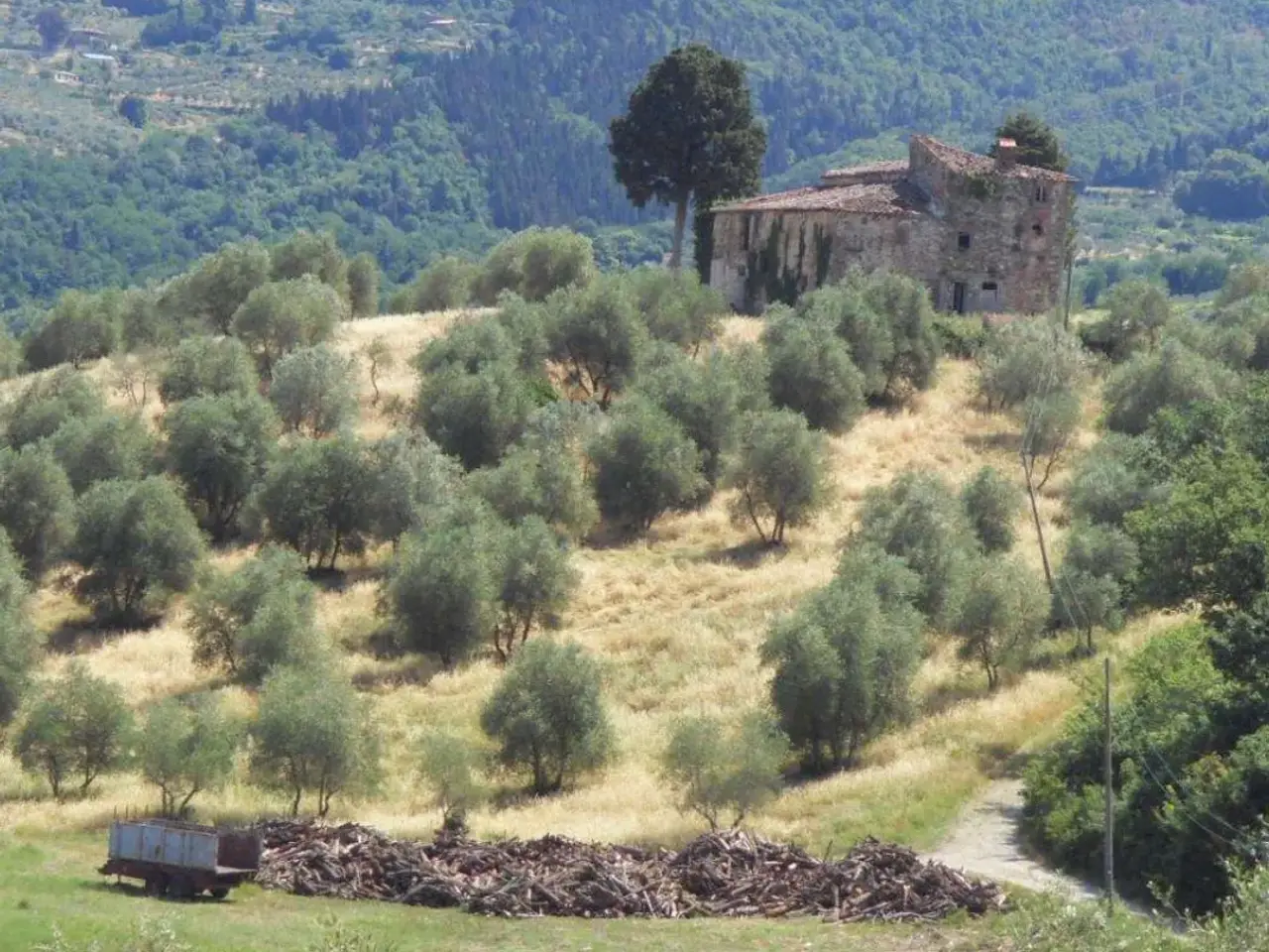 Azienda agricola in Pelago Località Altomena, Pelago, {3} - Foto 1