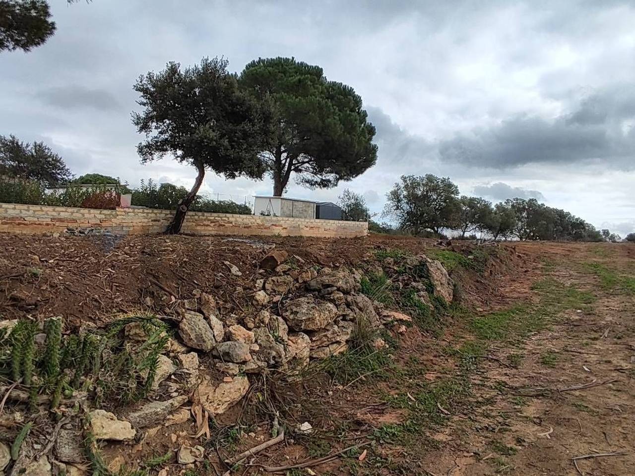 immagine annuncio 5 di 7