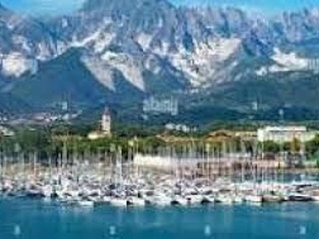 immagine annuncio 9 di 14