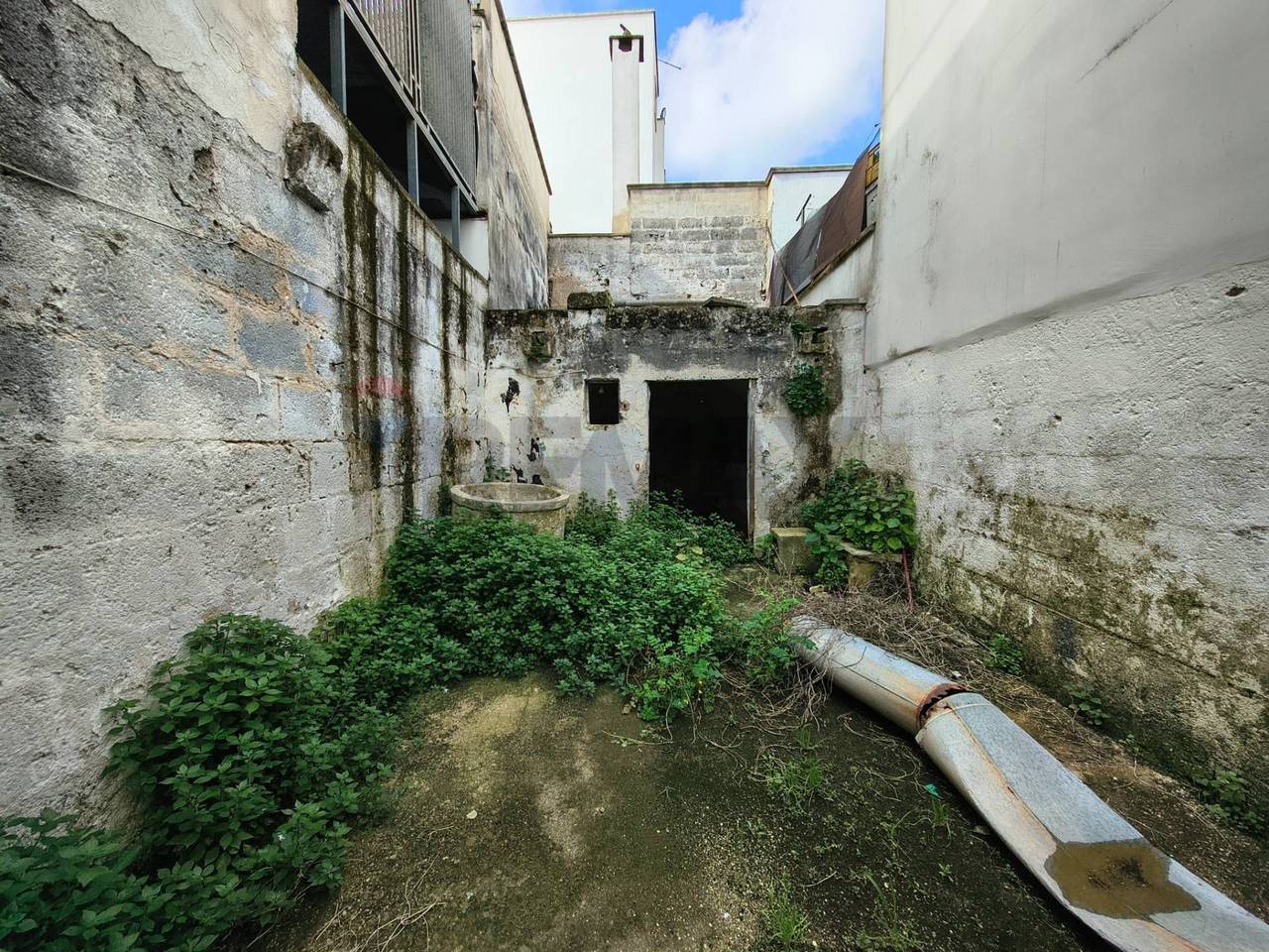 immagine annuncio 5 di 8