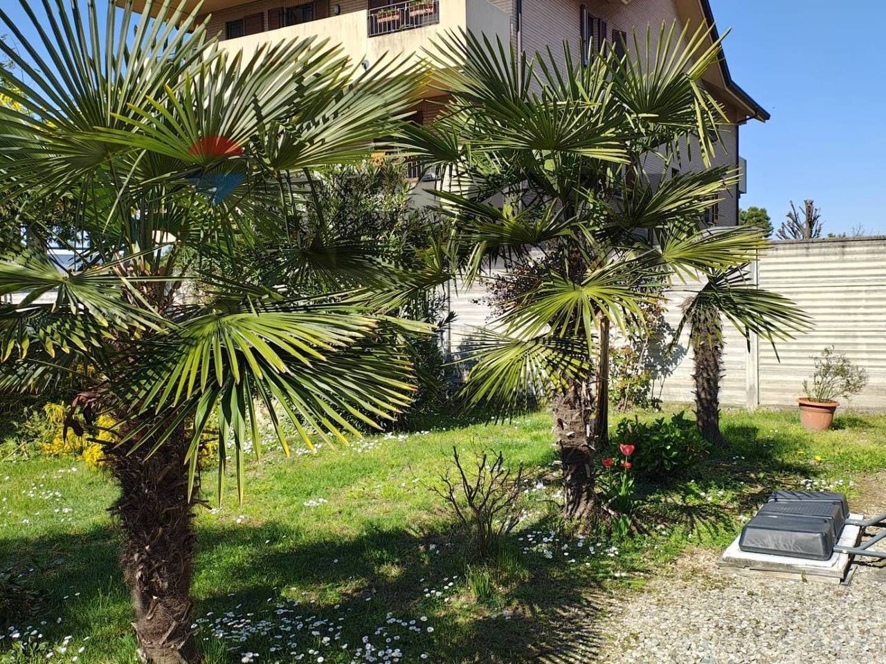 immagine annuncio 3 di 8