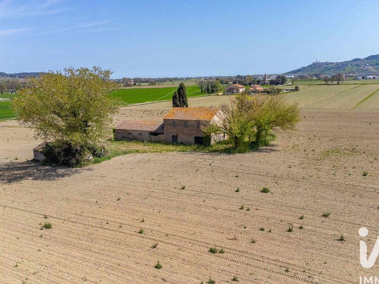 immagine annuncio 5 di 14