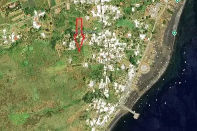 insertion image