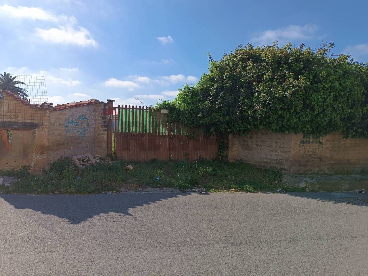 immagine annuncio 7 di 12