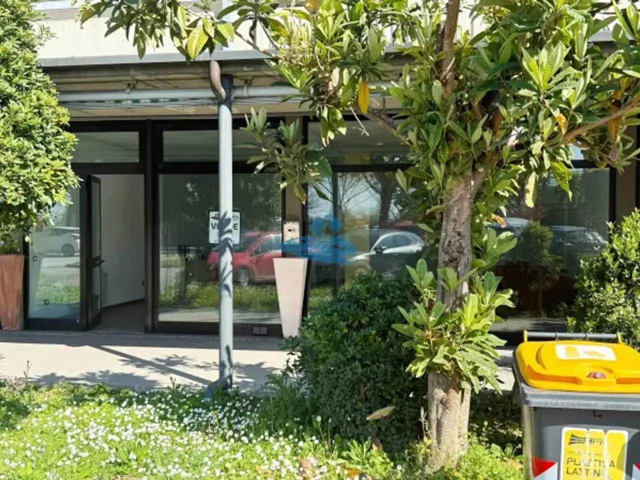 Negozio in Viale del Pescatore 19, Ravenna, {3} - Foto 2