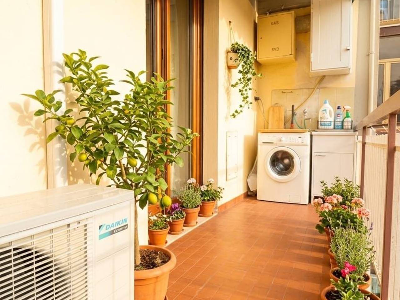 immagine annuncio 8 di 12