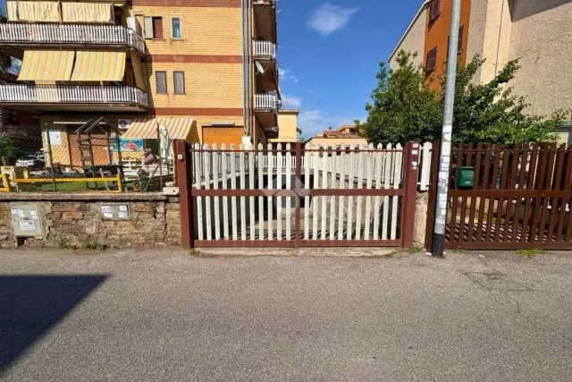 insertion image