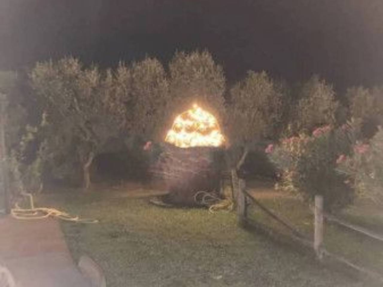 immagine annuncio 11 di 15