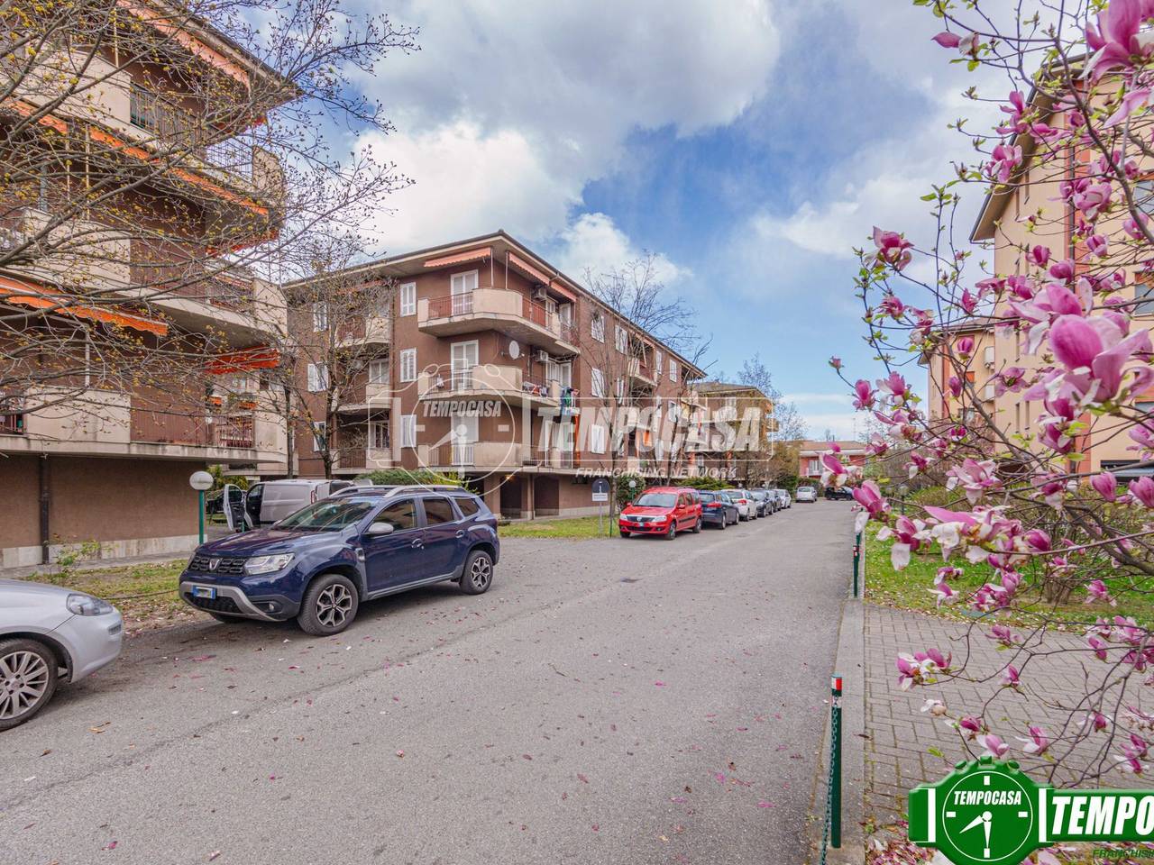 immagine annuncio 9 di 11