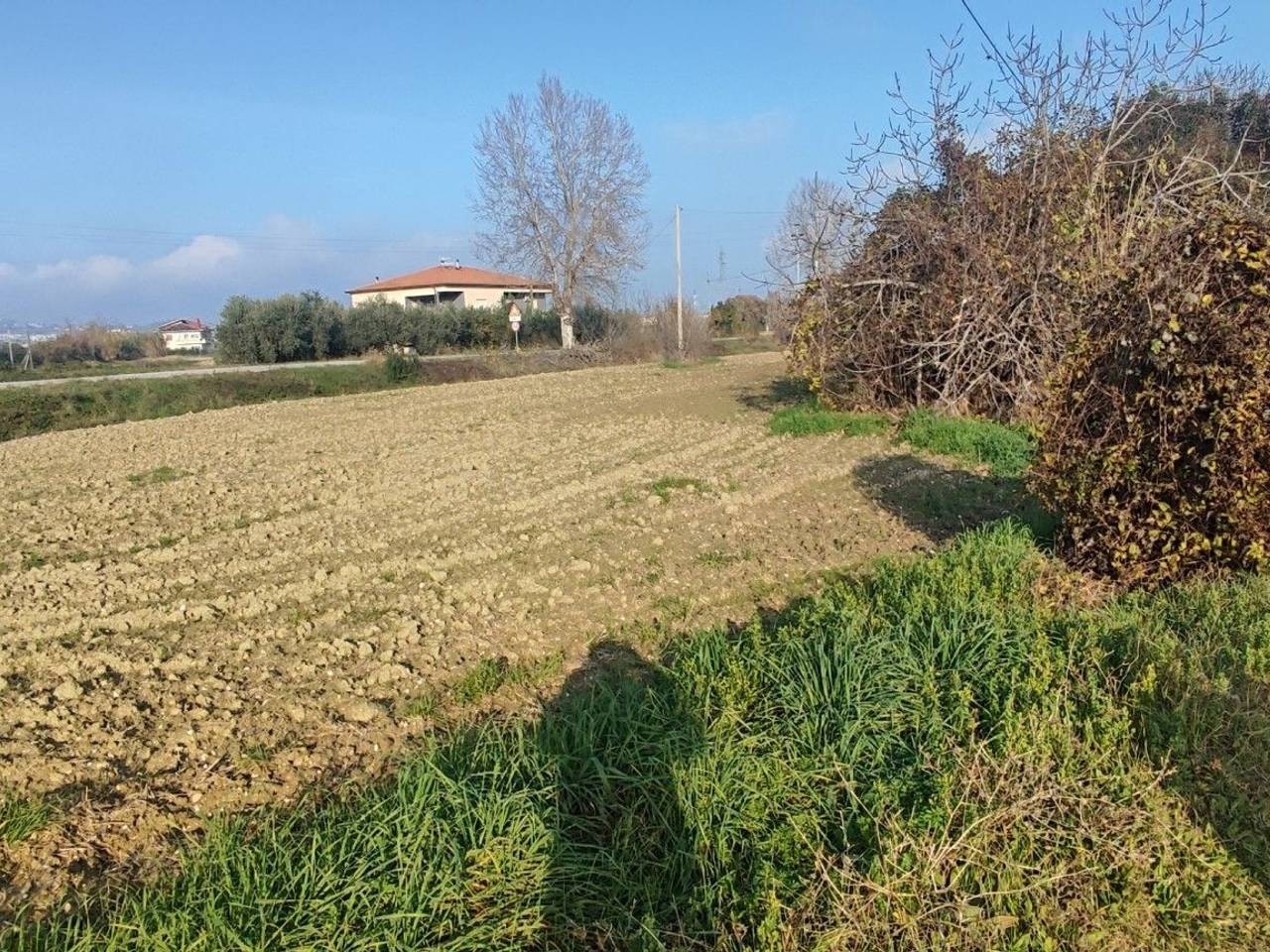 immagine annuncio 9 di 14