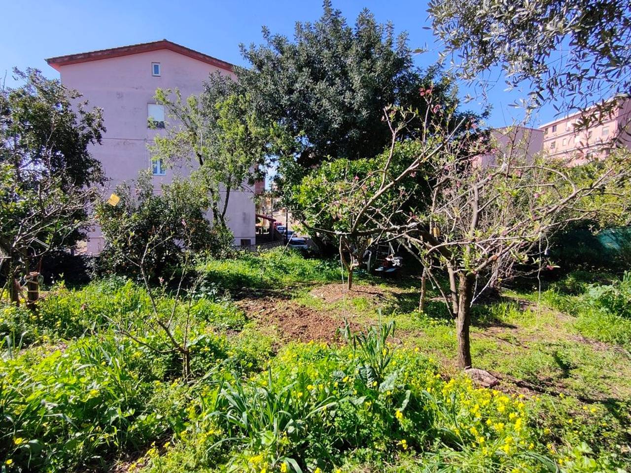immagine annuncio 2 di 7