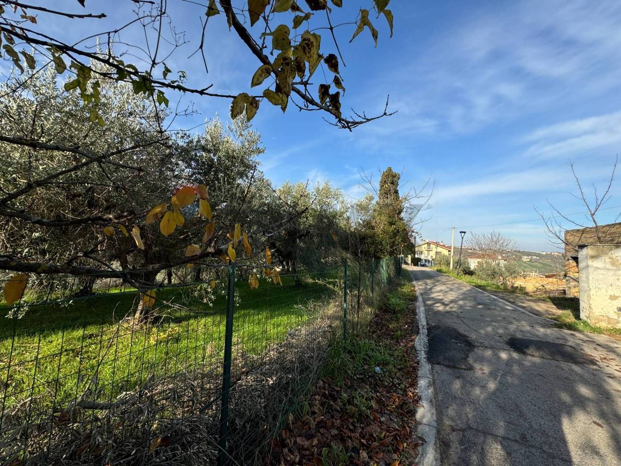 immagine annuncio 4 di 12